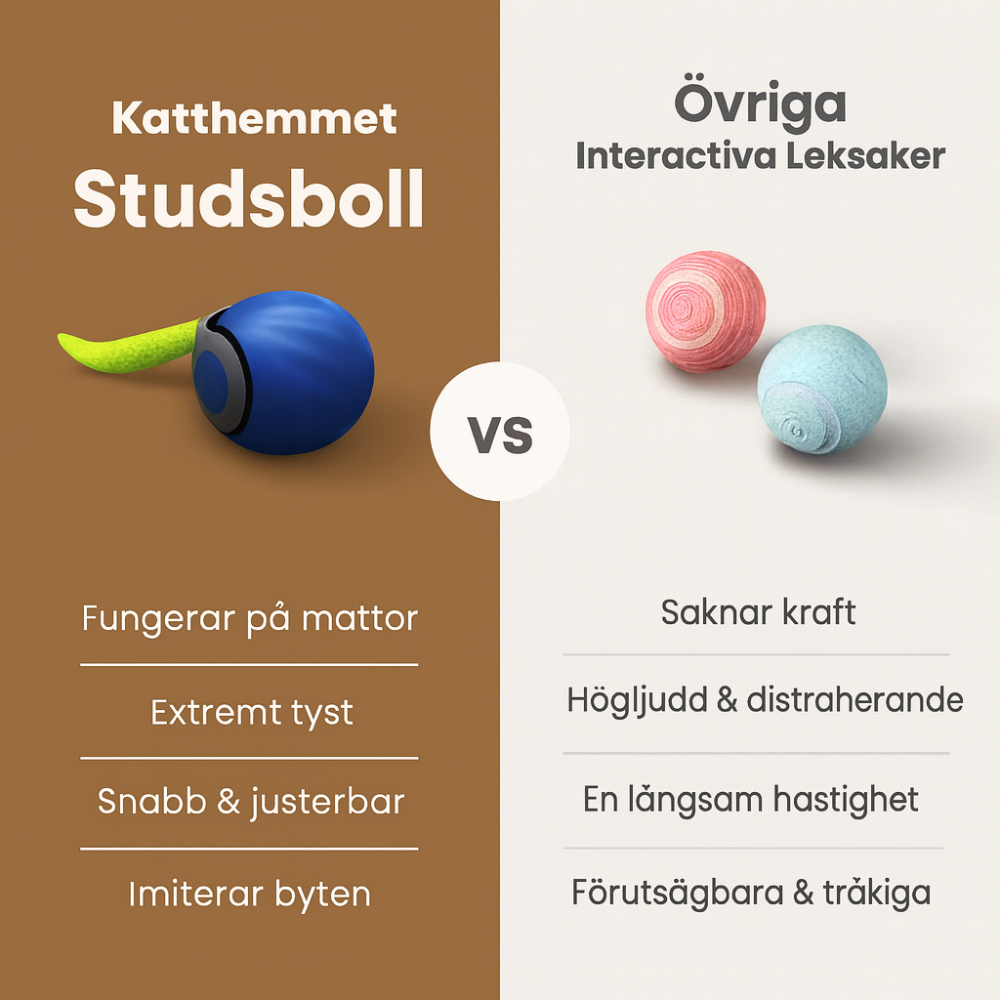 Katthemmets kattleksak - En trygg och lekfull katt utan krångel